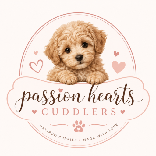 Logo MAltipoo
